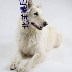 北(北)洋(洋)最后(後)一个军阀