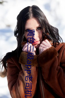 黄色三级app老司机下载