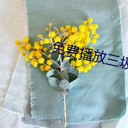 免费播放三圾片