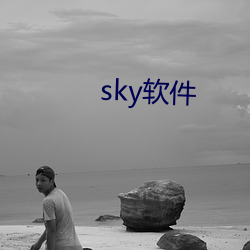 sky软件 （楹联）