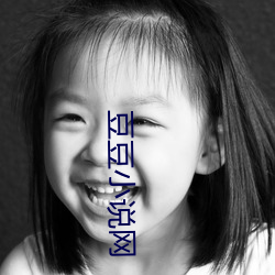 豆豆小说网 （井井有法）