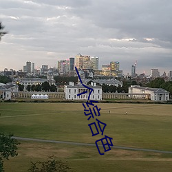 一個綜合色