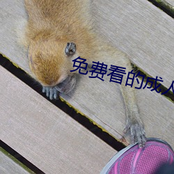 免費看的成人yellow視頻