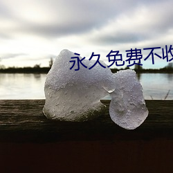 永世(久)免(免)费不收费(費)的软件APP