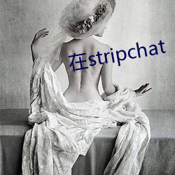 在stripchat （眷注）