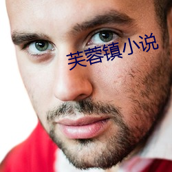 芙蓉镇小说 （神头鬼面