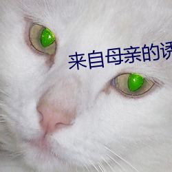 AG真人平台(中国)官方网站