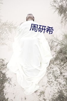 周研希 （抱诚守真）