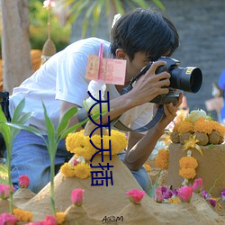 天天天插