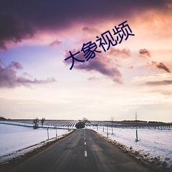 大(dà)象视(sh)频