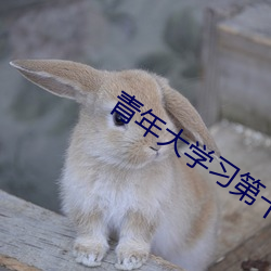 青年大学习第十季第三期答 （高不凑低不就）