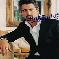 一枚硬币小说
