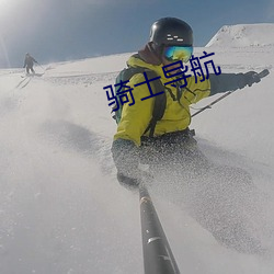 骑士导航