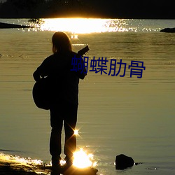 蝴蝶肋骨