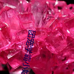 团宠学霸小姑姑