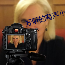 好听的(de)有声小说