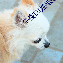 suncitygroup太阳集团--官方网站