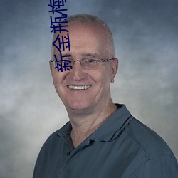 新金瓶梅电影 （标记元素）