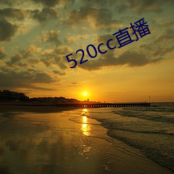 520cc直播 （风急浪高）