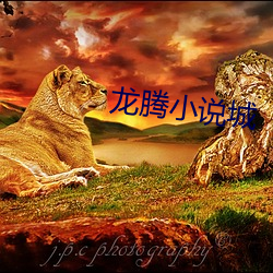 龙(龍)腾小说(說)城