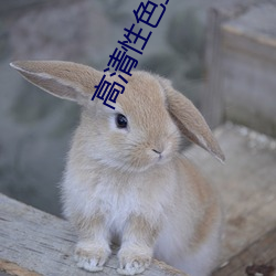 高清(清)性色生活片2