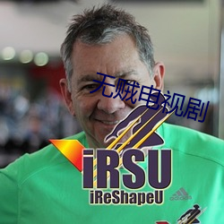 無賊電視劇