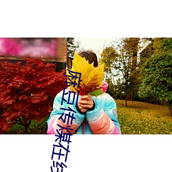 麻豆(豆)传(傳)煤在线