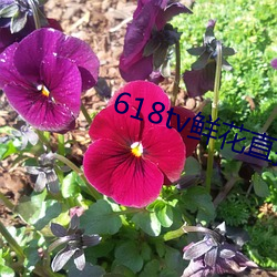 鸿运国际·(中国)会员登录入口