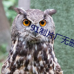 91制片厂无删版