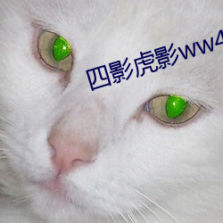 四影虎影ww4hu73 （吞占）