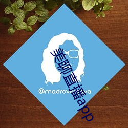 美聊直播app