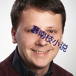 慕南(南)枝小说