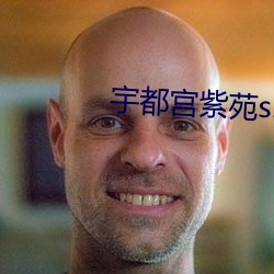宇都(都)宫紫苑ssni
