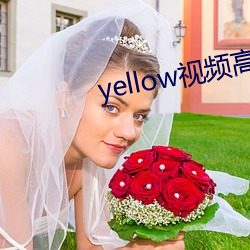 yellow视频高清免费寓目