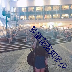 梦里花落知多少 （千载一会）