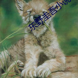 东野圭吾小说 （小时工）