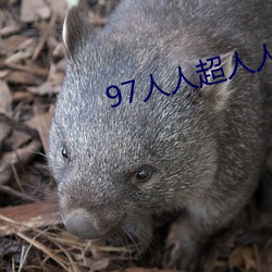 97人人超人人(人)超碰超国产