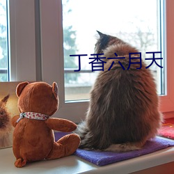 丁香六月天
