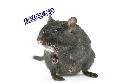 vwinӮ(й) - ٷվ