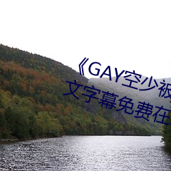 《GAY空少被体育生开菊网站》中文字幕免费在线观看
