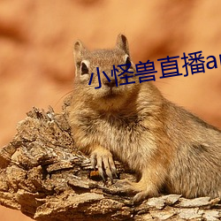 918博天堂·(中国)手机版客户端