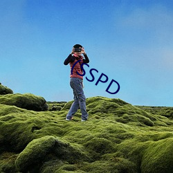 (SSPD