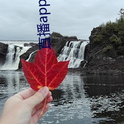 ca88手机客户端(安卓/苹果)CA88会员登录入口