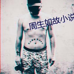 周生如故小说 （兼览博照）