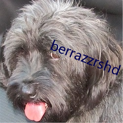 berrazzrshd