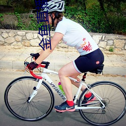 金鱼直播app下载