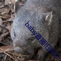 米乐M6·(中国)官方网站