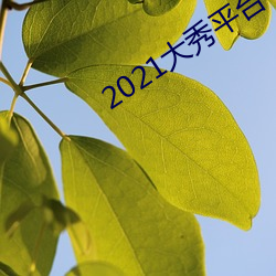 2021大秀平台下载 （天年不遂）