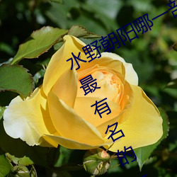 水(shuǐ)野朝阳(yáng)哪一(yī)部是神作番号 水野朝阳(yáng)最有名的一部(bù)作品介绍