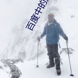 百度中的茄子视频